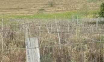 Imagem 6: Lotes de chácara para venda no Bairro Souza Lima