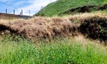 Imagem 7: Terreno RESIDENCIAL em POÇOS DE CALDAS - MG, JARDIM SANTA AUGUSTA