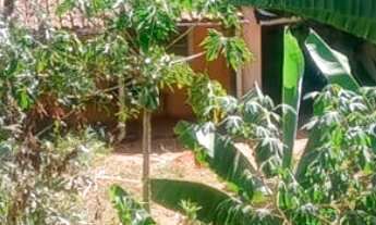 Imagem 7: Chácara para venda em Bandeira do Sul - MG