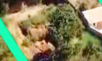 Imagem 2: Chácara de 2.156m² à venda em Poços de Caldas-MG: uma oportunidade única!