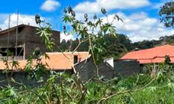 Imagem: Lote de Chácara para venda em Bandeira