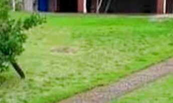 Imagem: 3 dormitórios na Rua Privada