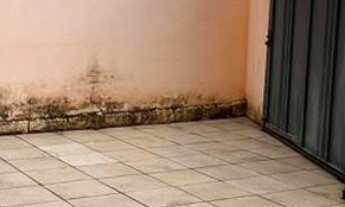 Imagem 3: Casa para venda em Bandeira do Sul