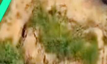 Imagem: Chácara de 2.156m² à venda em Poços