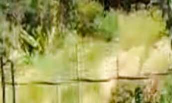 Imagem 3: Chácara de 2.156m² à venda em Poços de Caldas-MG: uma oportunidade única!