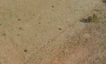 Imagem: Sítio em Campestre, MG