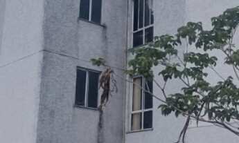 Imagem 2: Apartamento à venda em Poços de Caldas-MG, no bairro Estância com 2 quartos, 1 sala, 1 ban