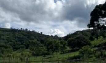 Imagem 6: Chácara à venda em Bandeira do Sul-MG, Zona Rural: 2 quartos, 1 sala, 1 banheiro, 12 vagas