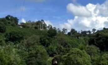 Imagem 4: Chácara à venda em Bandeira do Sul-MG, Zona Rural: 2 quartos, 1 sala, 1 banheiro, 12 vagas