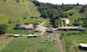 Imagem: Sítio para venda em Caldas