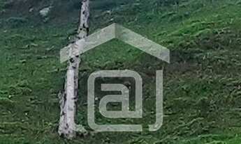 Imagem: Sítio para Plantio ou Pecuária a Venda