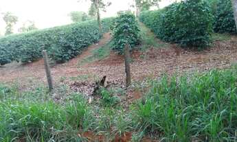 Imagem 2: Venda de Sítio em Botelhos