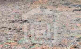 Imagem: Venda de Chácara em Bandeira do Sul