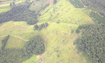 Imagem: Sítio para venda em Campestre