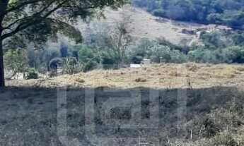 Imagem 2: Lotes de Chácara em Bandeira do Sul - MG