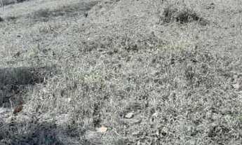 Imagem 3: Lotes de Chácara em Bandeira do Sul - MG