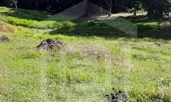 Imagem: Sítio para venda em Bandeira do Sul