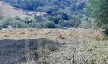 Imagem: Lotes de Chácara em Bandeira do Sul - MG