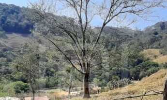 Imagem 4: Lotes de Chácara em Bandeira do Sul - MG