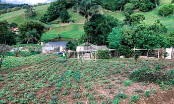 Imagem: Venda de Sítio em Bandeira do Sul