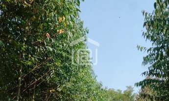 Imagem 2: Venda de Sítio em Caldas