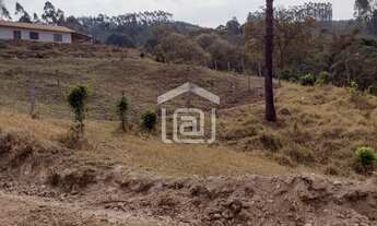 Imagem 7: Venda de Sítio em Caldas