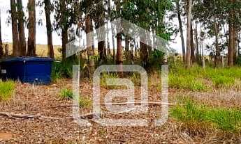 Imagem 5: Sítio a Venda entre Botelhos e Divisa Nova, MG