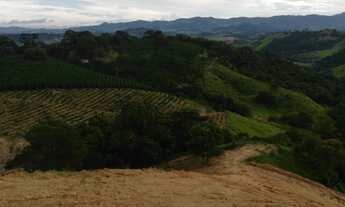 Imagem 3: Sítio de Café em Bandeira do Sul