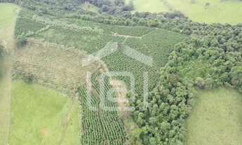 Imagem 6: Sítio para Venda em Caldas, MG