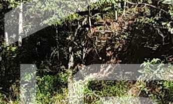 Imagem 6: CHÁCARA RURAL em Laranjeira de Caldas - MG, Big Vale