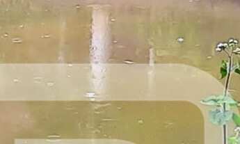 Imagem: Chácara em Campestre, MG