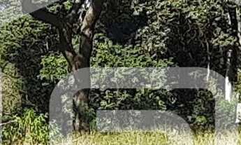 Imagem 5: CHÁCARA RURAL em Laranjeira de Caldas - MG, Big Vale