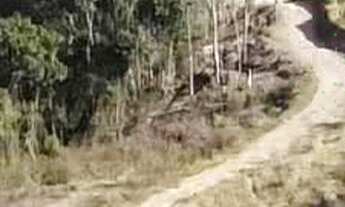 Imagem 7: Lotes de Chácara em Pocinhos do Rio Verde