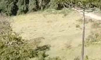 Imagem 6: Lotes de Chácara em Pocinhos do Rio Verde