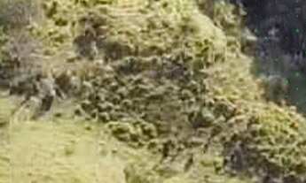 Imagem 5: Lotes de Chácara em Pocinhos do Rio Verde