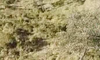 Imagem 1: Lotes de Chácara em Pocinhos do Rio Verde