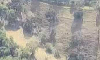 Imagem 5: Sítio a Venda em Senador José Bento, MG