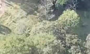 Imagem: Sítio a Venda em Senador José Bento, MG