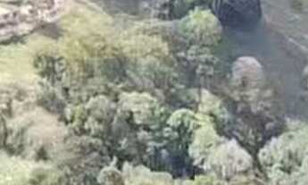 Imagem 3: Sítio a Venda em Senador José Bento, MG