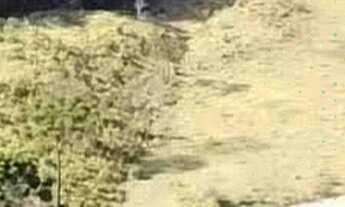 Imagem 4: Lotes de Chácara em Pocinhos do Rio Verde