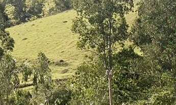 Imagem: Venda de terreno de chácara em Bandeira