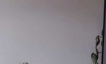 Imagem 3: Casa a Venda em Poços de Caldas