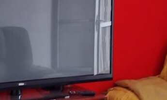 Imagem 2: Casa a Venda em Poços de Caldas