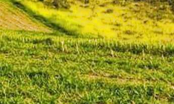 Imagem: Venda de Sítio em Santa Rita de Caldas