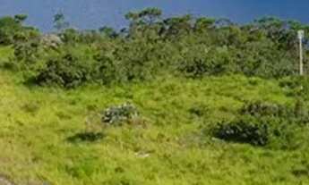 Imagem 7: Lotes em Condomínio de luxo