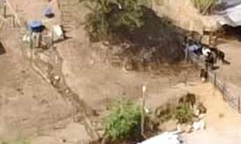 Imagem: Sítio para Pecuária a Venda em Caconde