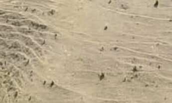 Imagem 7: Sítio para Pecuária a Venda em Caconde