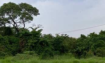 Imagem: 309M² de Área Total