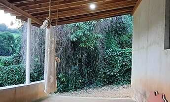 Imagem 3: CHÁCARA RURAL em BANDEIRA DO SUL - MG, CANARIOS