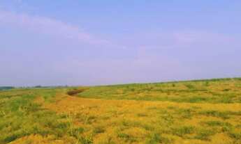 Imagem 3: TERRENO RESIDENCIAL em ELIAS FAUSTO - SP, Jardim dos Ipês